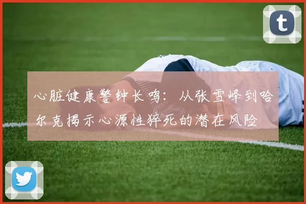 心脏健康警钟长鸣：从张雪峰到哈尔克揭示心源性猝死的潜在风险
